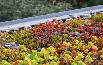 the cost of Eaton Hall green roof installation