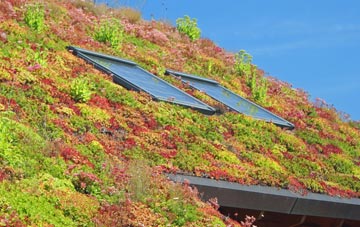 Eaton Hall living roof systems