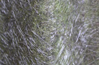 Eaton Hall fibreglass roof work